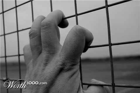 Photography by MrHedgehog