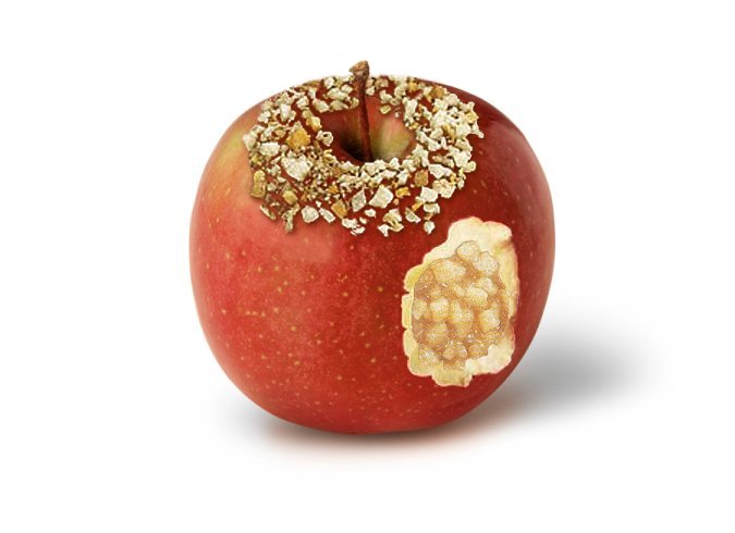 Photoshop Design by aspergerl for DesignCrowd (Community Contests) | Design #9057305