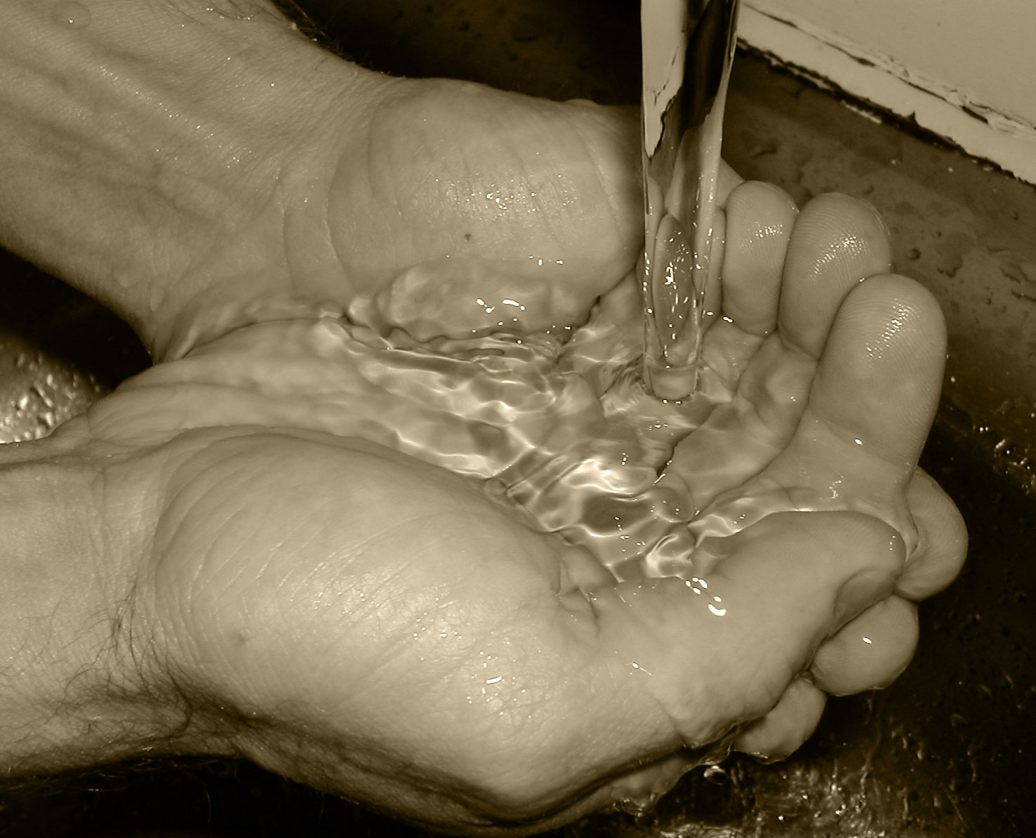 Photography by Jellybellybeans for DesignCrowd (Community Contests) | Design #9039750