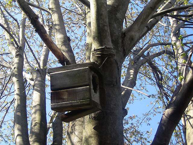 Fotografía por u2one1 para DesignCrowd (Community Contests) | Diseño #9050008