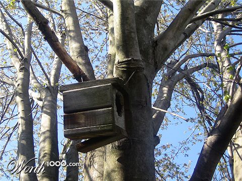 Photography by u2one1