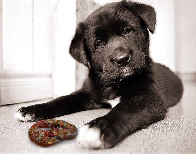 Photoshop Design by JoelleM for DesignCrowd (Community Contests) | Design #9057496