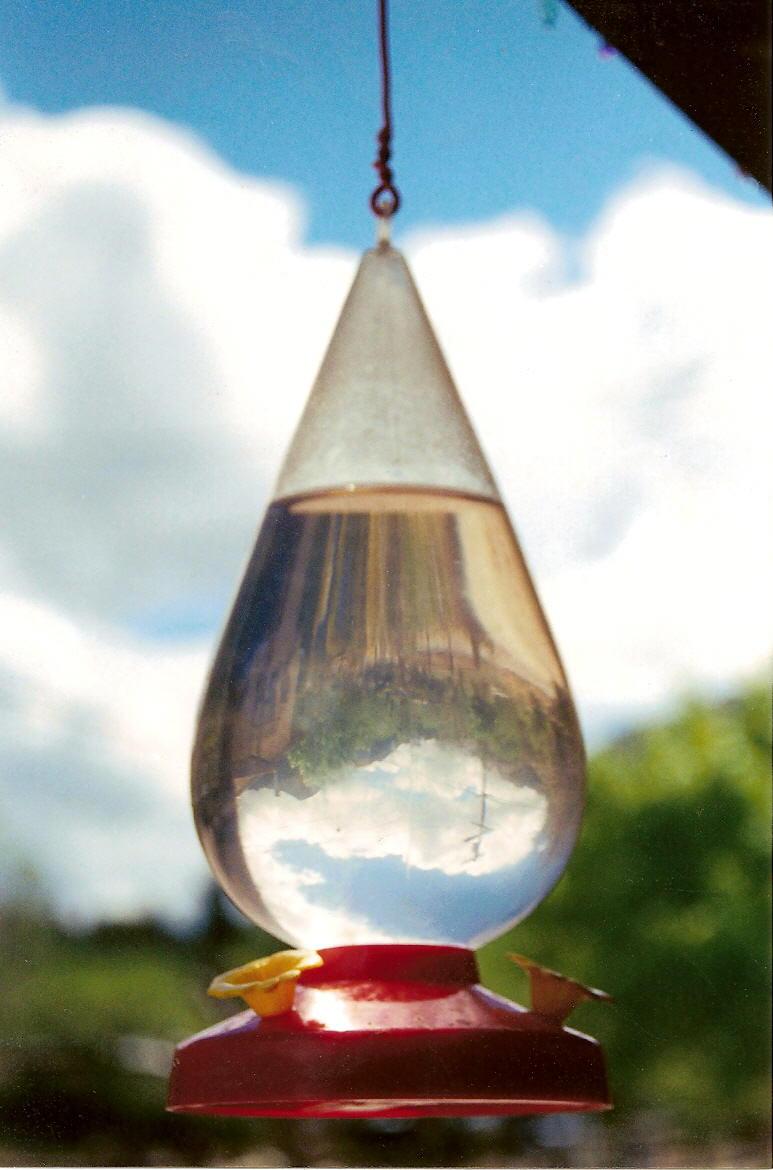 Photography by burleysgirl for DesignCrowd (Community Contests) | Design #9050011
