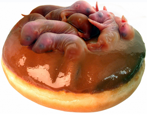 Photoshop Design by a17rwk for DesignCrowd (Community Contests) | Design #9057547