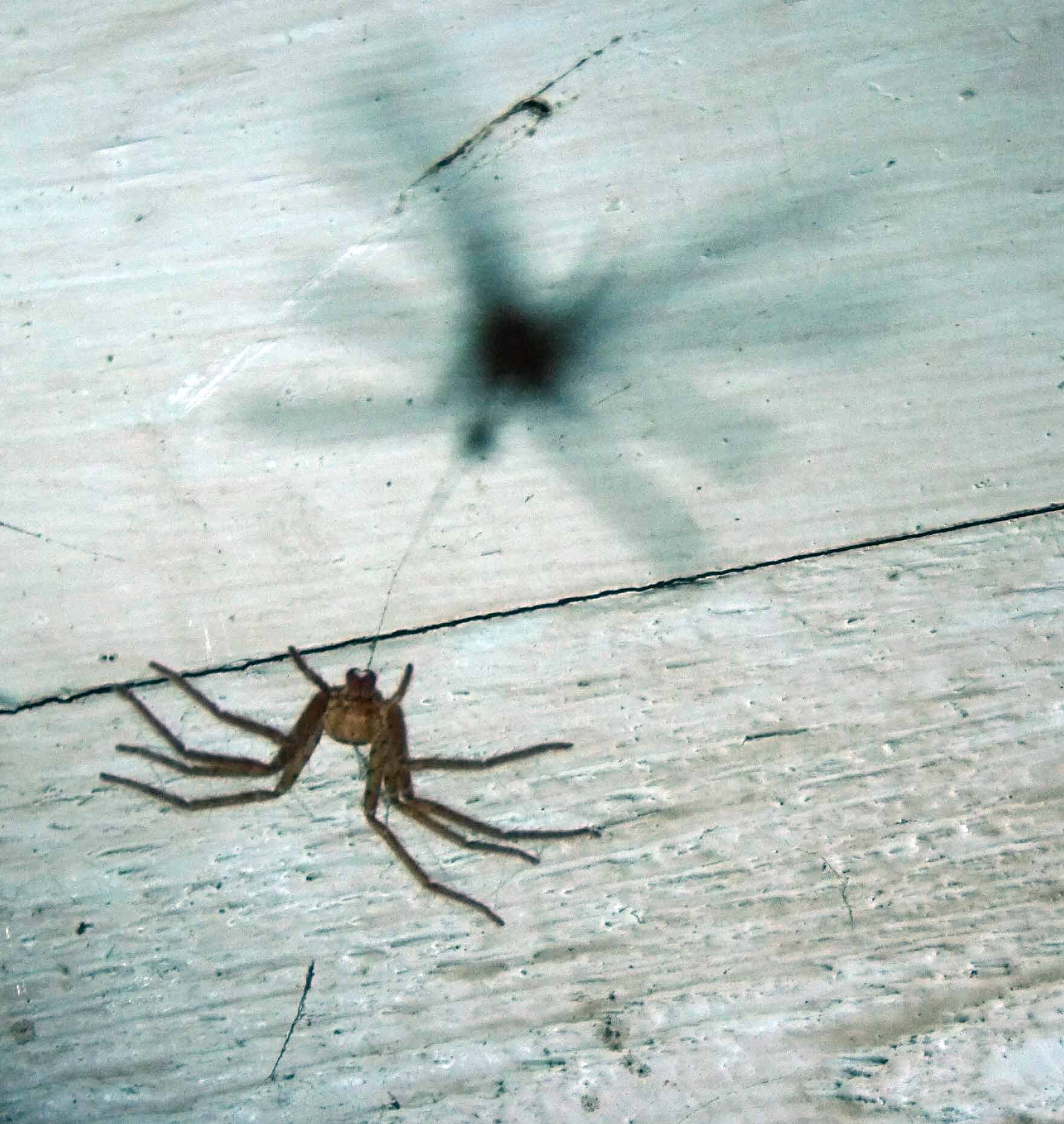 Photography by almostthere for DesignCrowd (Community Contests) | Design #9049998