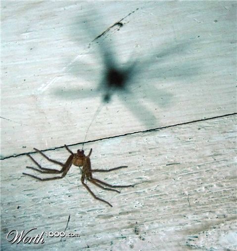 Photography by almostthere