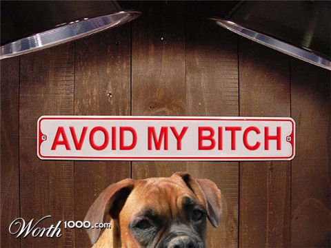 Photoshop Design by seltzerh2o