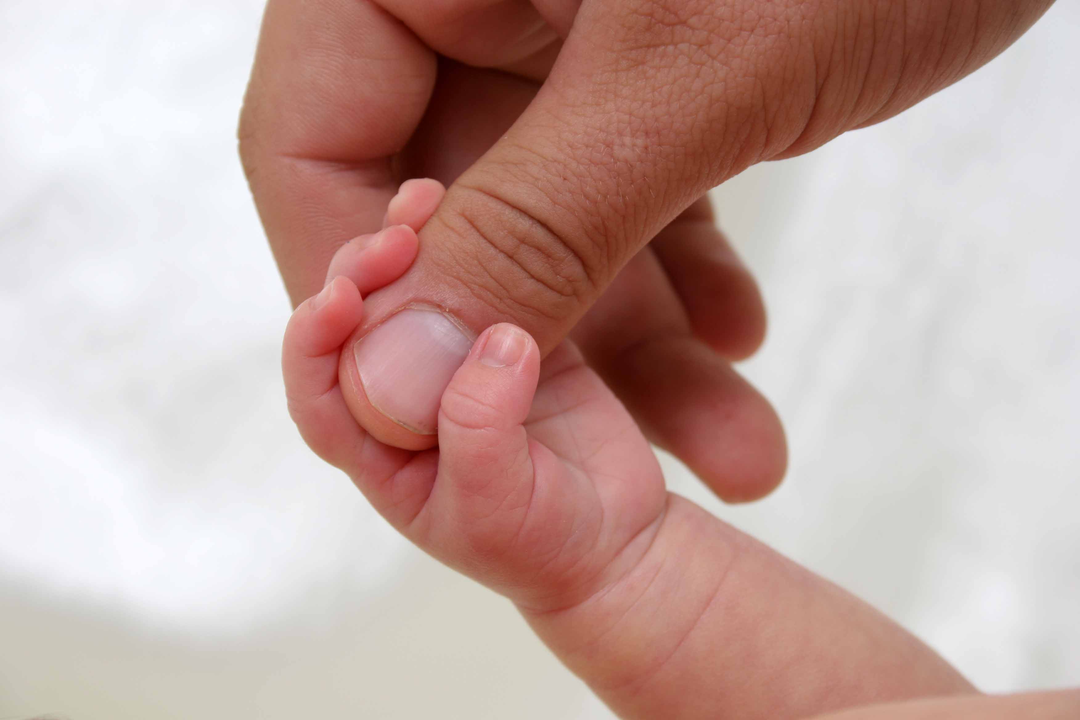 Photography by scratattack5 for DesignCrowd (Community Contests) | Design #9039830