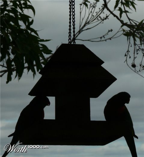 Photography by gymp93