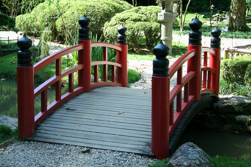 Fotografie von pedronurmi für DesignCrowd (Community Contests) | Design #9054695