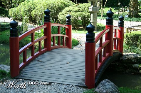 Photography by pedronurmi