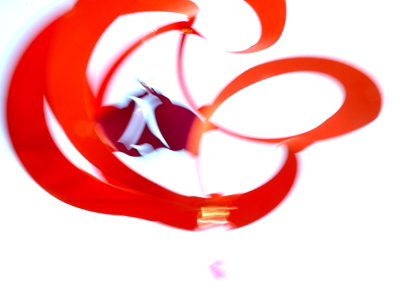 Photography by MisterSir for DesignCrowd (Community Contests) | Design #9050059