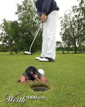 Photoshop Design by ozzypaddy