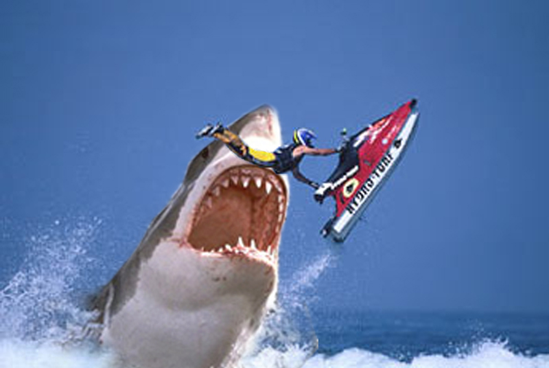 Photoshop Design by NthN for DesignCrowd (Community Contests) | Design #9056116