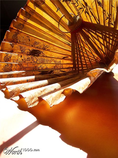 Photography by DutchPuh