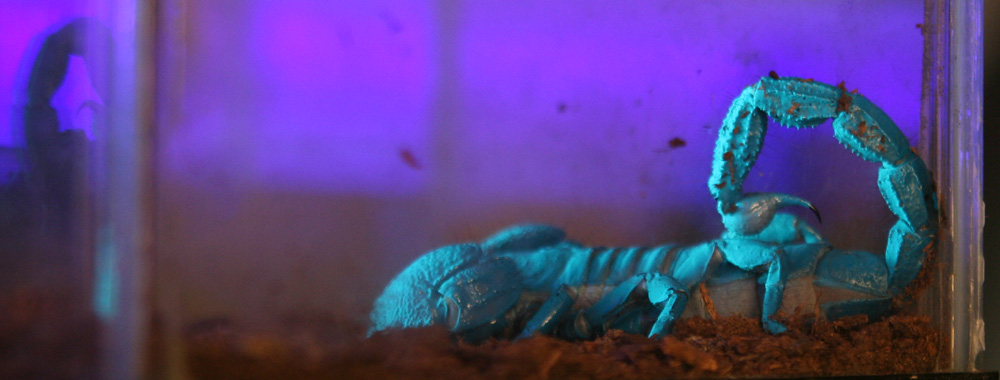 Photography by dsblack for DesignCrowd (Community Contests) | Design #9050880