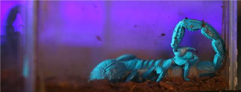 Photography by dsblack