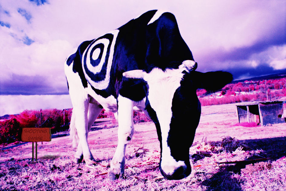 Photoshop Design by samfisher for DesignCrowd (Community Contests) | Design #9056138