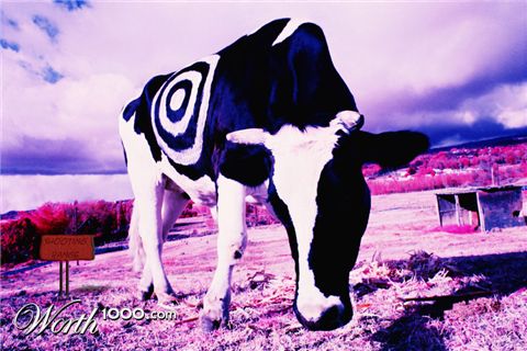 Photoshop Design by samfisher