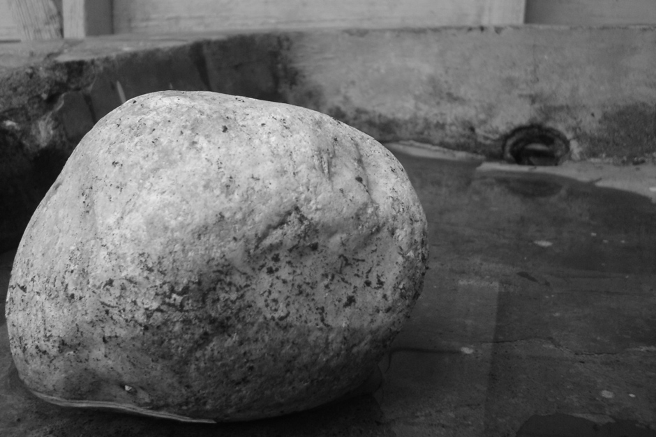 Fotografie von sebasfournier für DesignCrowd (Community Contests) | Design #9049429