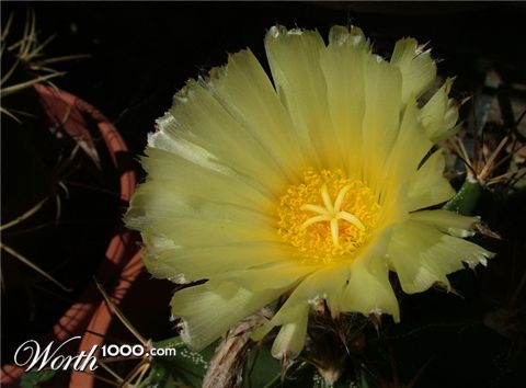 Photography by ginscambia