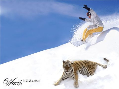 Photoshop Design by Bravolima