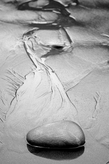 Photography by MisterSir for DesignCrowd (Community Contests) | Design #9049432