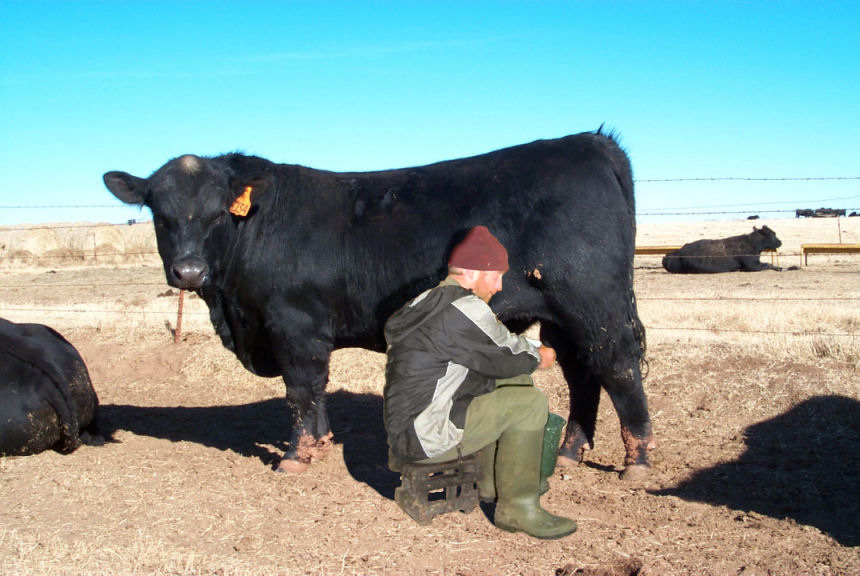 Photoshop Design by Irrwitzer for DesignCrowd (Community Contests) | Design #9056229