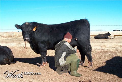 Photoshop Design by Irrwitzer