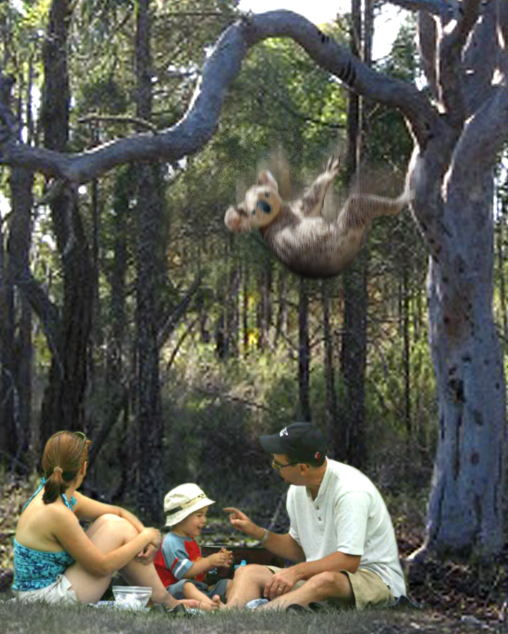 Photoshop Design by Kwyjibo78 for DesignCrowd (Community Contests) | Design #9056185