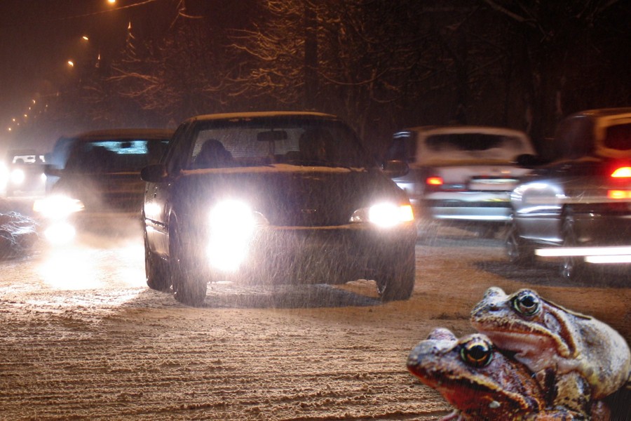 Photoshop Design by aspergerl for DesignCrowd (Community Contests) | Design #9056182