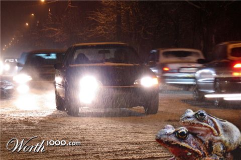 Photoshop design by aspergerl for DesignCrowd (Community Contests)