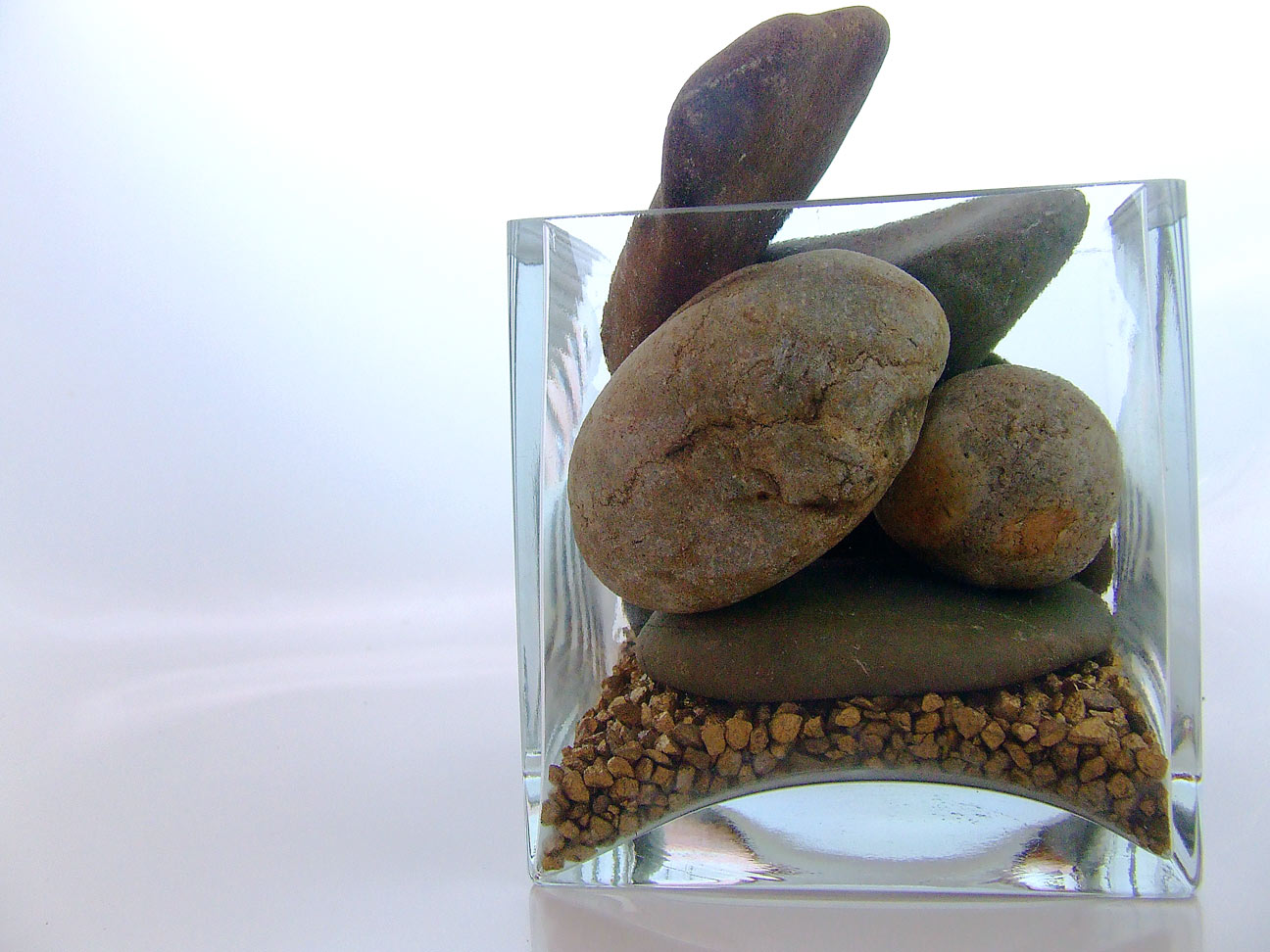 Photographie par thenegativeone pour DesignCrowd (Community Contests) | Design #9049454