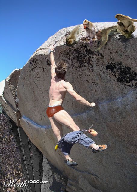 Photoshop Design by treefrogs