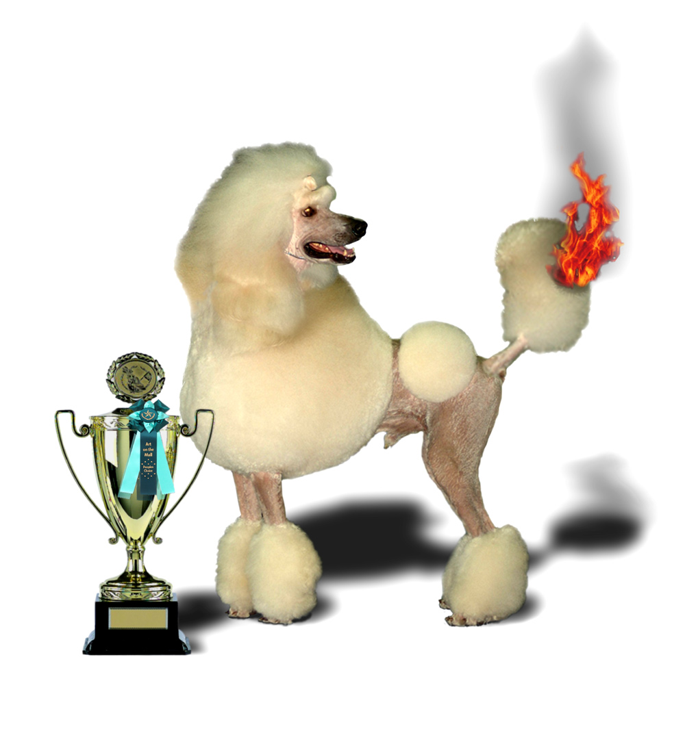 Photoshop Design by DutchPuh for DesignCrowd (Community Contests) | Design #9056441