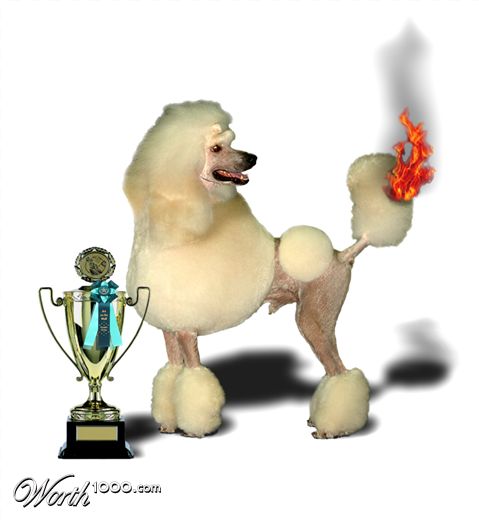 Photoshop Design by DutchPuh