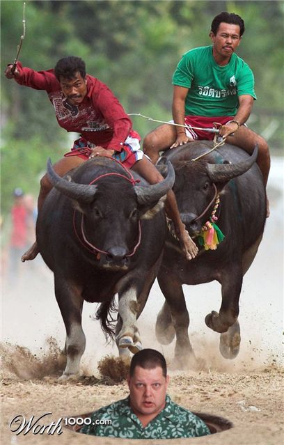 Photoshop Design by redcard