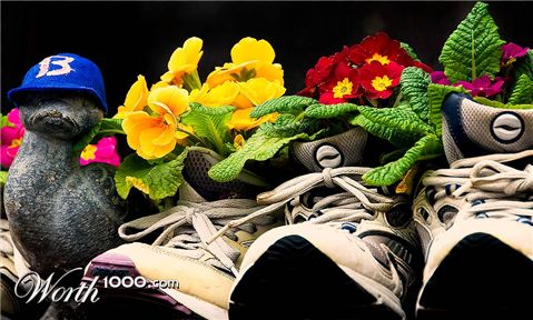 Photography by josephzl