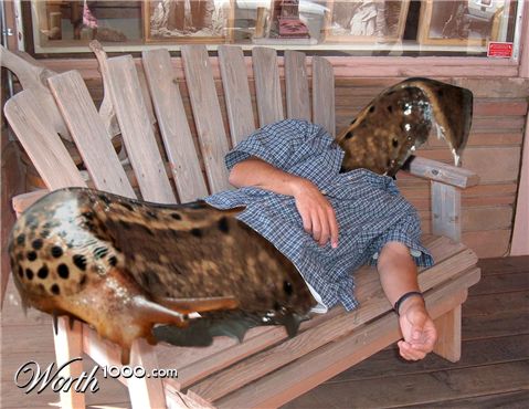 Photoshop Design by spiraleye