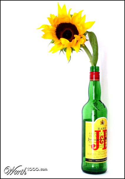 Photography by droomluiperd