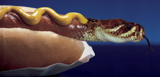 Photoshop Design by Kelian for DesignCrowd (Community Contests) | Design #9049527