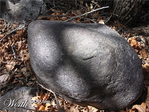 Photography by SpeakingOfAmethyst