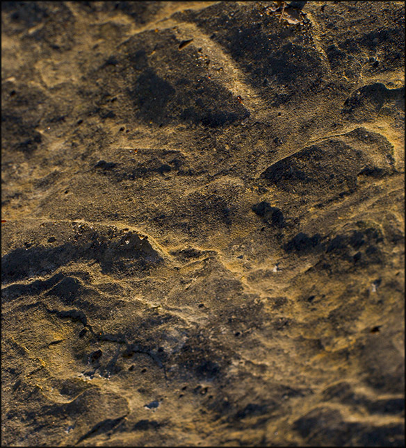 Fotografie von ChronicPest für DesignCrowd (Community Contests) | Design #9049467