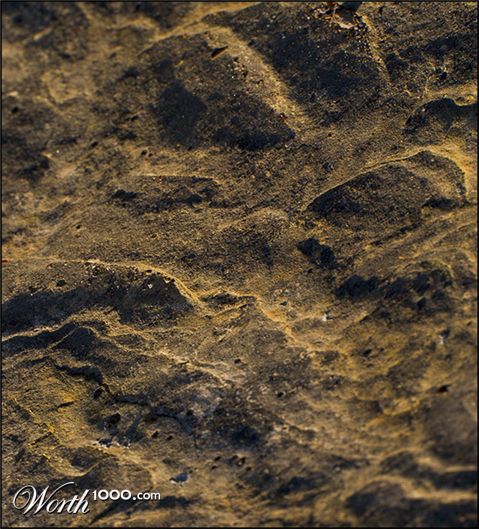 Photography by ChronicPest