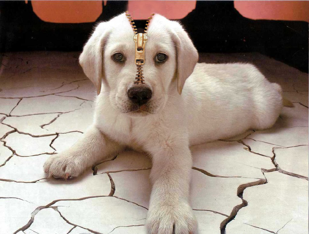 Photoshop Design by NthN for DesignCrowd (Community Contests) | Design #9051794