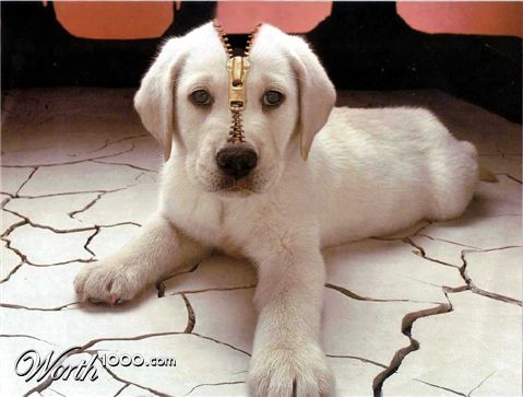 Photoshop Design by NthN