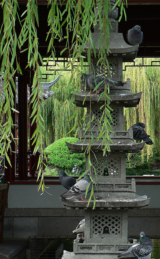 Fotografía por gymp93 para DesignCrowd (Community Contests) | Diseño #9054802