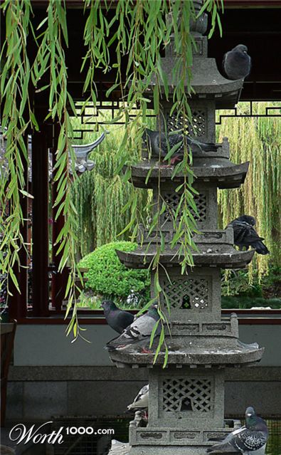 Photography by gymp93