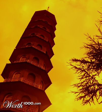 Photography by cooganj