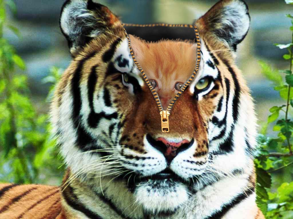 Diseño de Photoshop por h2oscienceguy081 para DesignCrowd (Community Contests) | Diseño #9051886